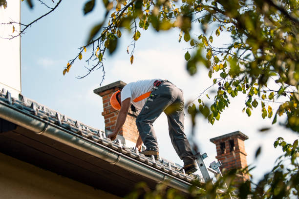 Best Roof Gutter Cleaning  in North Branch, MI