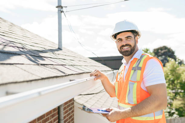 Best Metal Roofing Contractor  in North Branch, MI