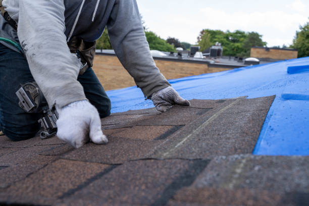 Best New Roof Installation  in North Branch, MI