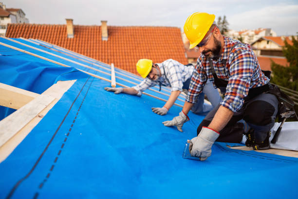 Best Residential Roofing Contractor  in North Branch, MI