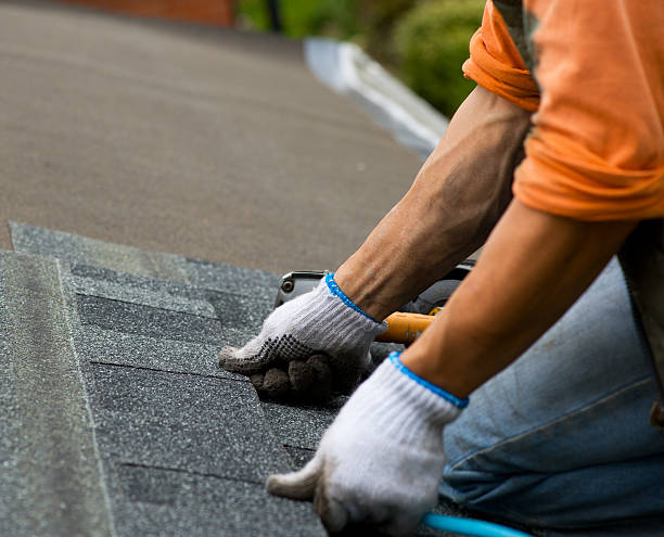Trusted North Branch, MI Roofing Contractor Experts