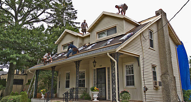 Best Residential Roofing Contractor  in North Branch, MI