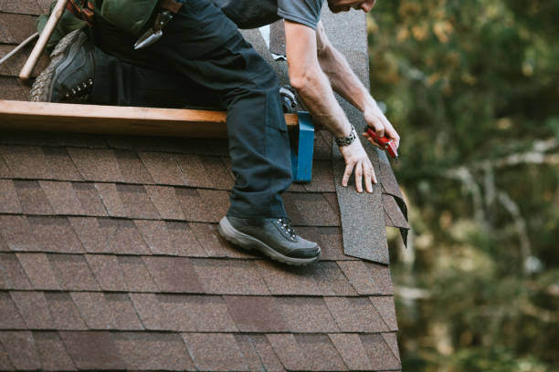 Professional Roofing Contractor in North Branch, MI